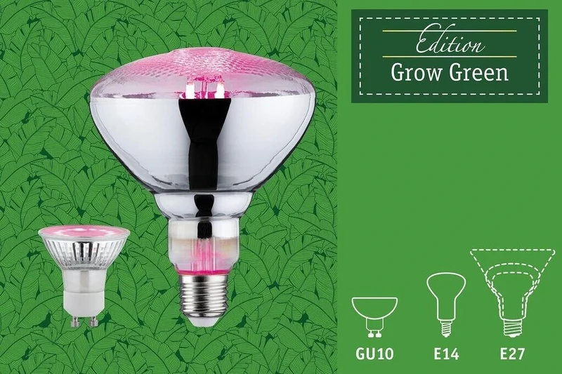 Pflanzenlampe LED E27 pink Reflektor Wachstumslampe 6,5W - Paulmann 287.33 Grow Green