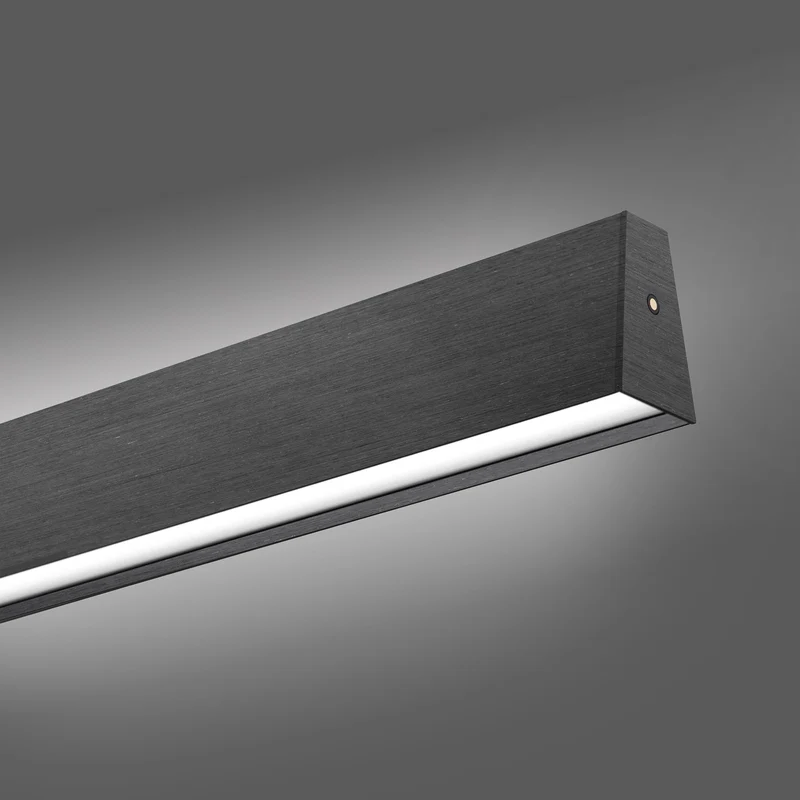 Paul Neuhaus - Pendelleuchte Pure E-Motion