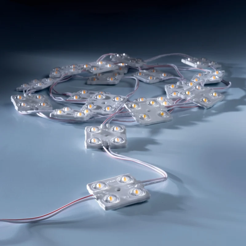 leds.de Wasserdichte LED-Module, 4 LEDs, 12V, IP67, 20 Stück