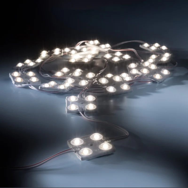 leds.de Wasserdichte LED-Module, 4 LEDs, 12V, IP67, 20 Stück