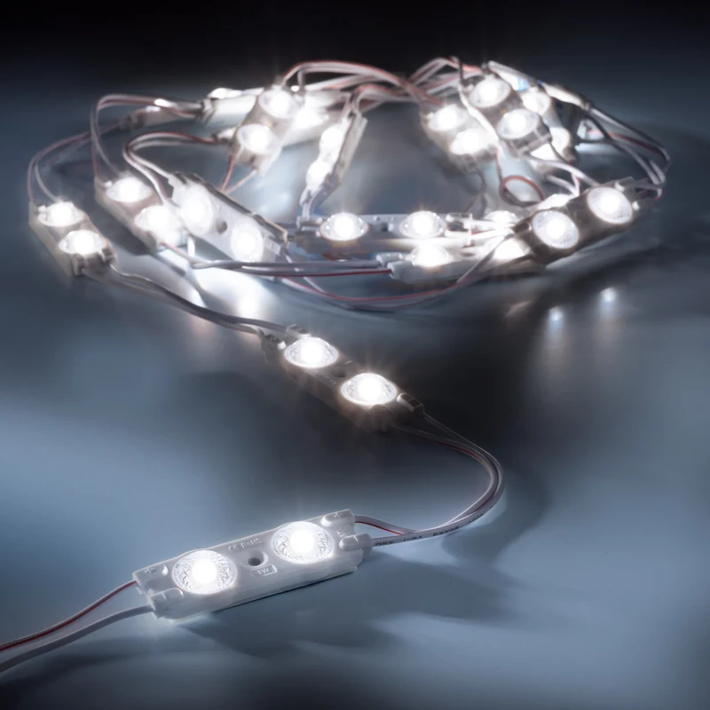 leds.de Wasserdichte LED-Module, 2 LEDs, 12V, IP67, 20 Stück