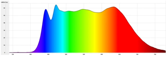 Pendelleuchte LINE d-i vollspektrum