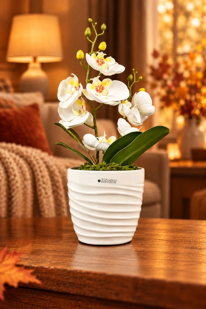 Orchideenkübel Catino 13cm creme-weiß