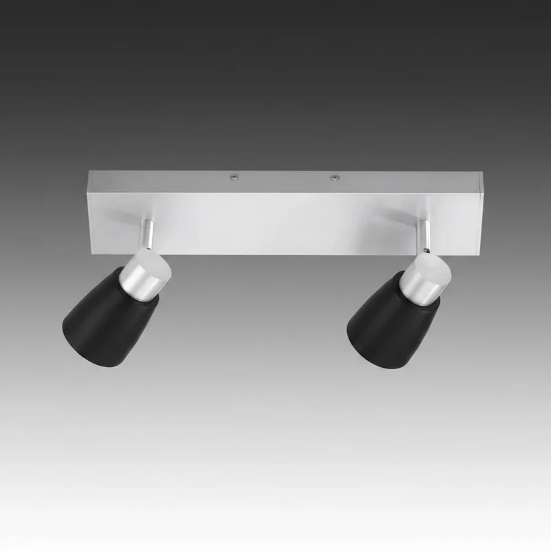 Decken- & Wandstrahler 2-flammig schwarz/Alu matt – schwenkbarer Spot aus Glas & Metall, 230V
