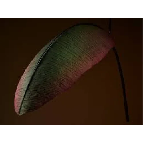Single Banana Leaf Pendant Light | CLJNB02