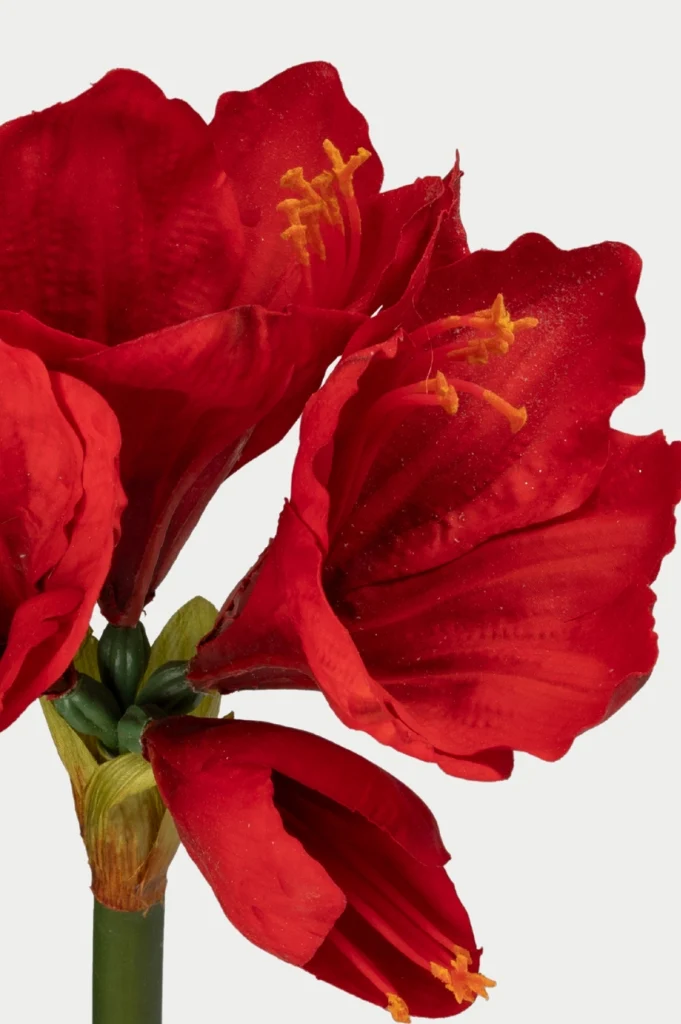 Deko Amaryllis 75cm rot Real touch