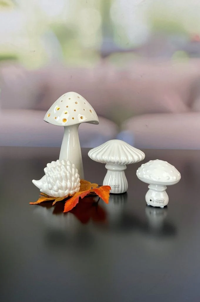 Dekoset Pilz Niara LED+Igel Max+Pilz Ostuni