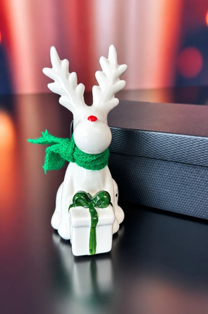 2er Set Rentier Rudolph mit Geschenk grün in Geschenkbox