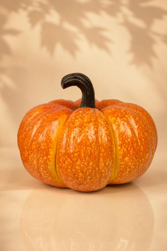Deko Kürbis rund XL in Herbstfarben