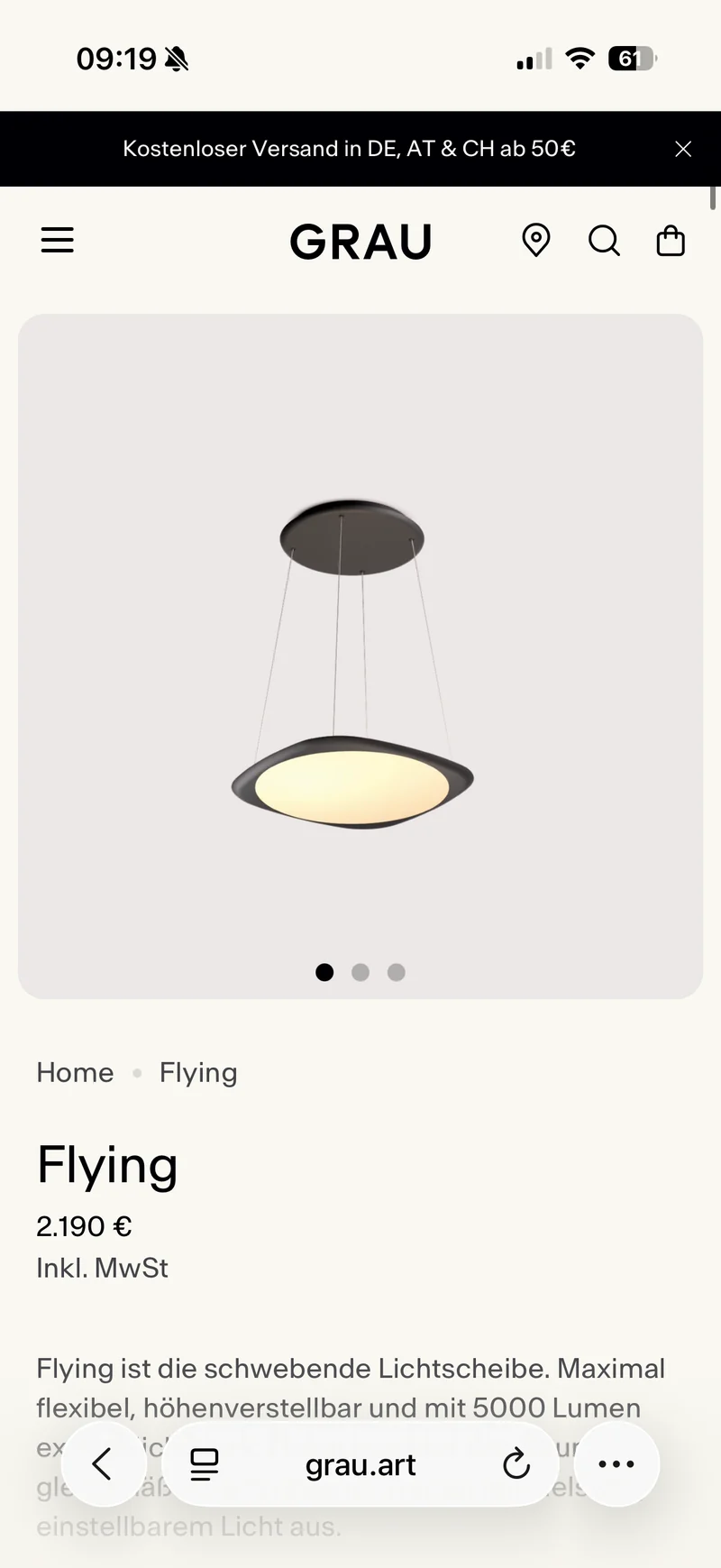 Flying Pendelleuchte Schwarz (Ausstellungsstück)