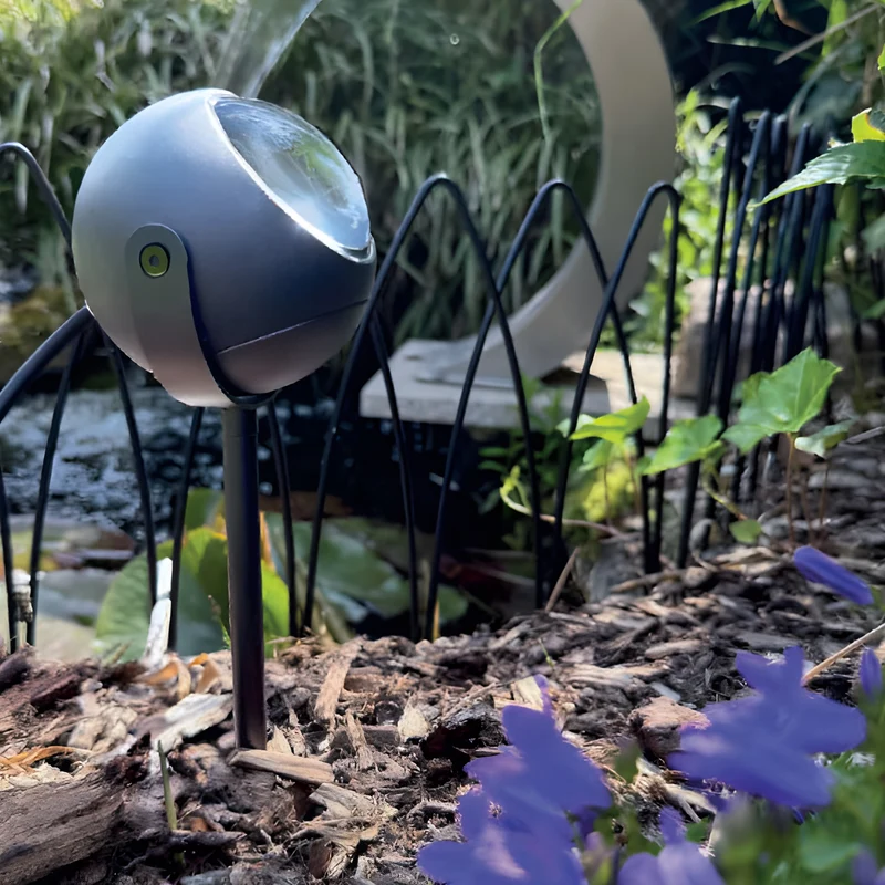 Erdspießstrahler Sol