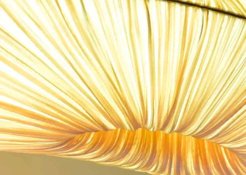 Marine Cloth Chandelier | CL7496303