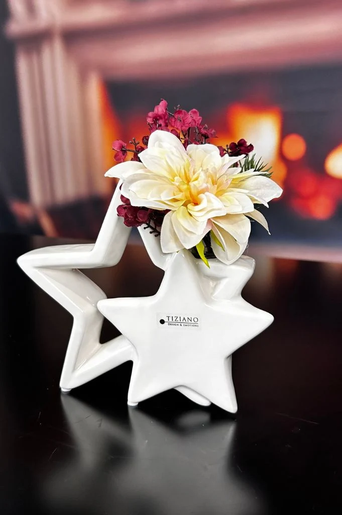 Doppelstern Ebbio 17,5cm creme-weiß mit Reagenzglas