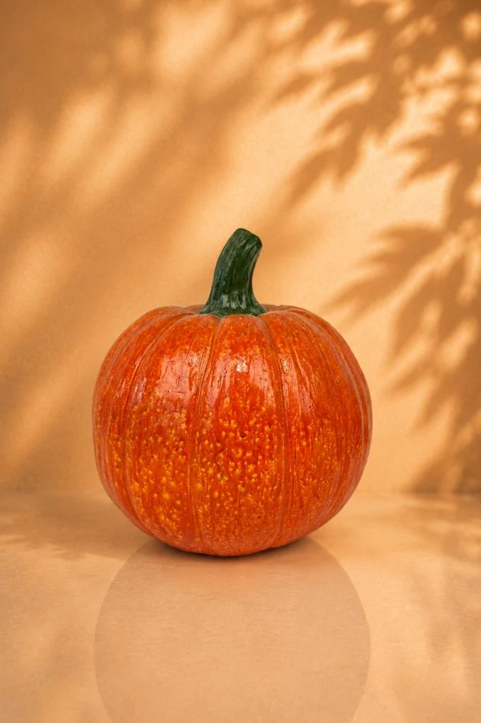 Deko Kürbis Herbstfarben