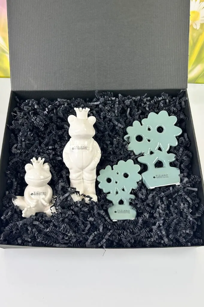 Geschenkbox L Frosch Vico+Blume Folina Prato