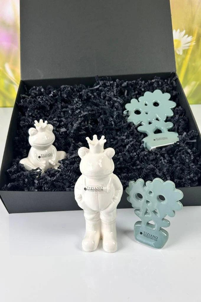 Geschenkbox L Frosch Vico+Blume Folina Prato