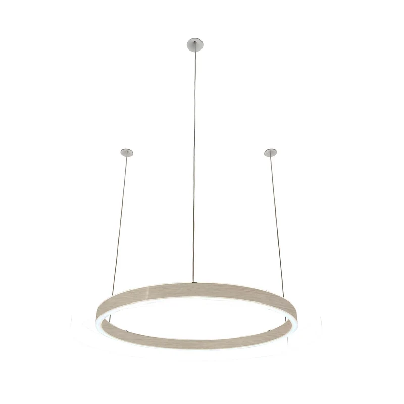 Pendelleuchte Loop 24V