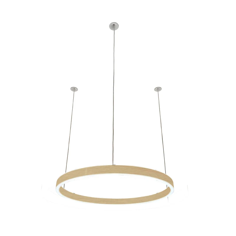 Pendelleuchte Loop 24V