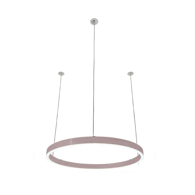 Pendelleuchte Loop 24V
