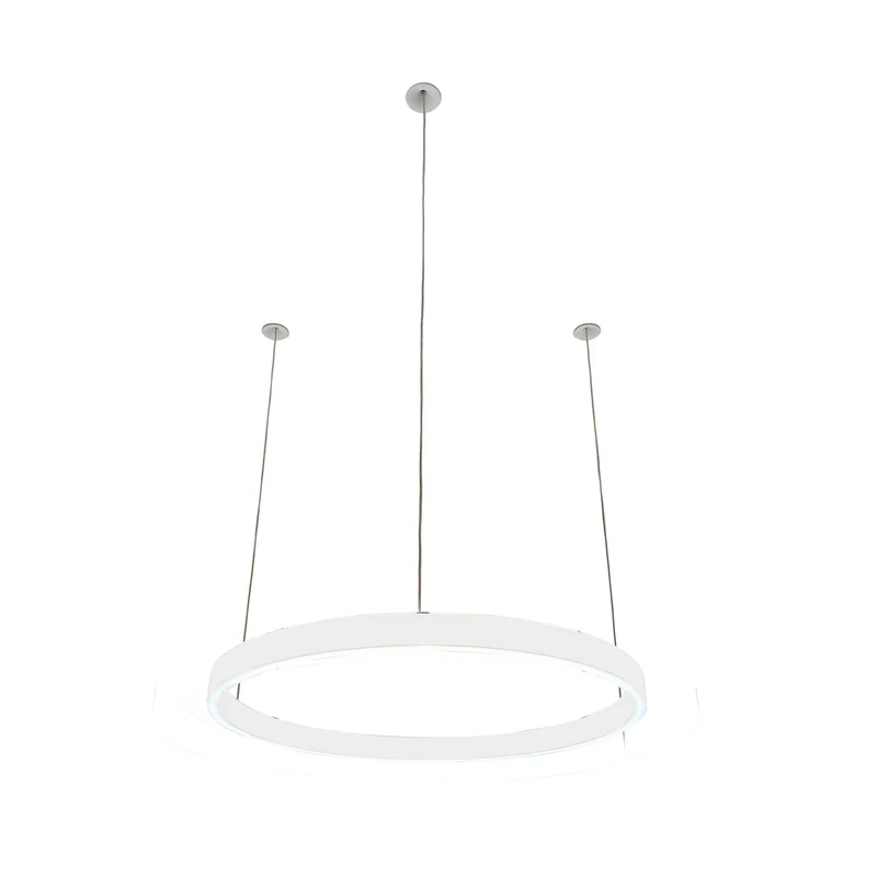 Pendelleuchte Loop 24V