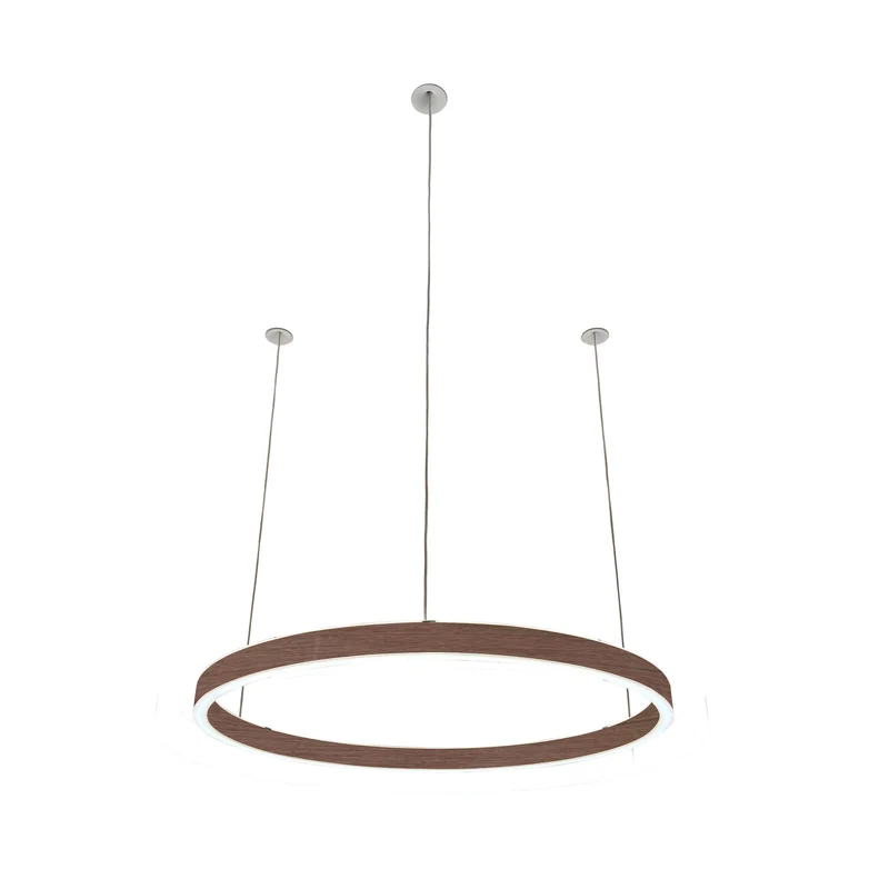 Pendelleuchte Loop 24V
