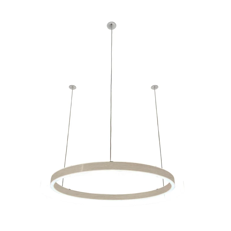 Pendelleuchte Loop 24V