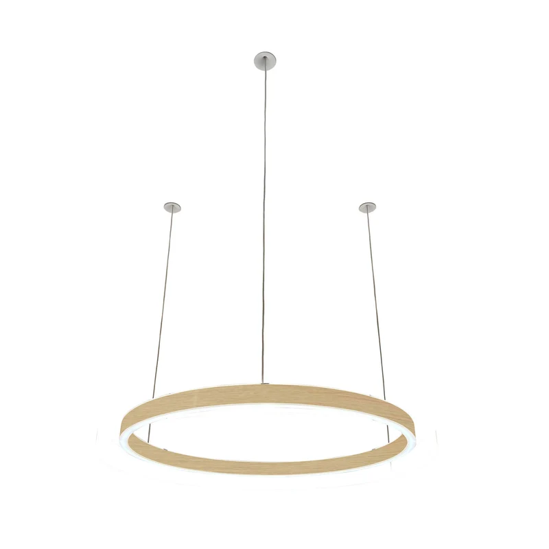Pendelleuchte Loop 24V