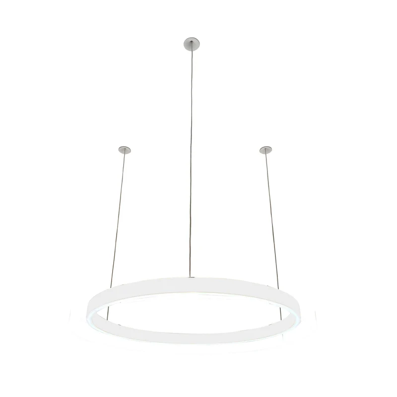 Pendelleuchte Loop 24V