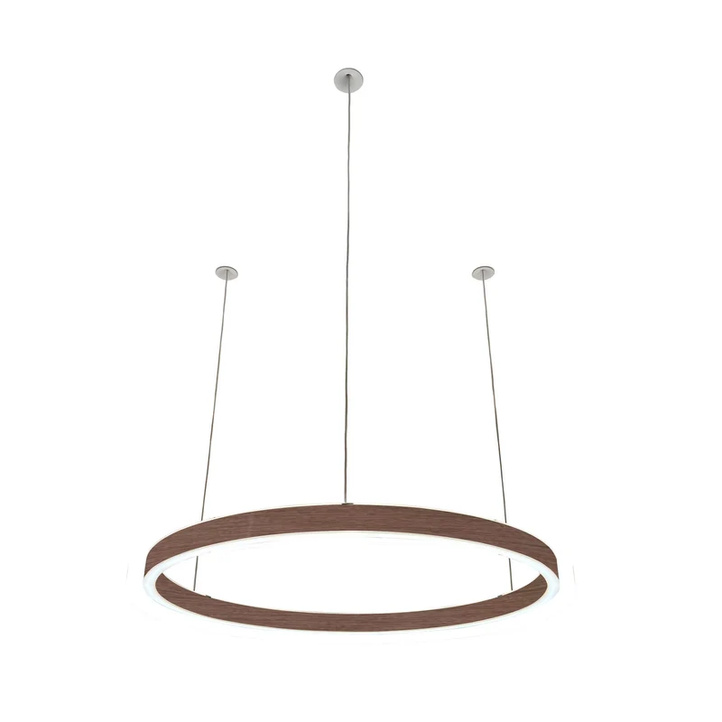 Pendelleuchte Loop 24V