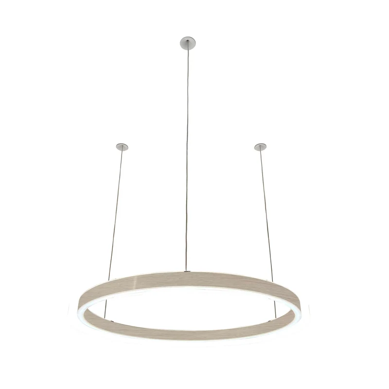Pendelleuchte Loop 24V