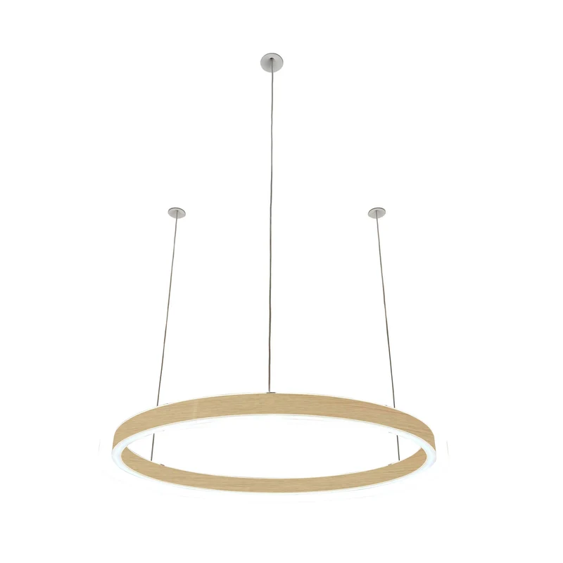 Pendelleuchte Loop 24V