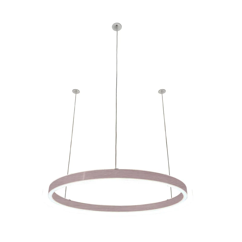 Pendelleuchte Loop 24V
