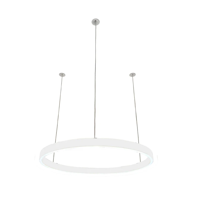 Pendelleuchte Loop 24V