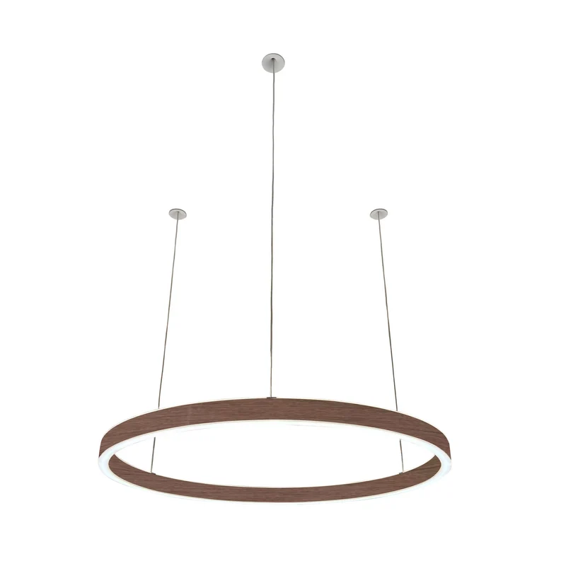 Pendelleuchte Loop 24V