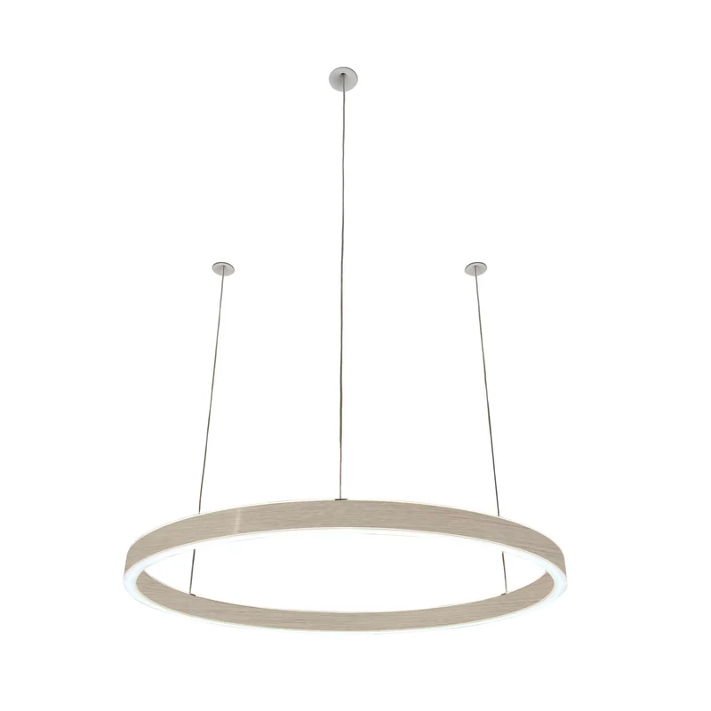 Pendelleuchte Loop 24V