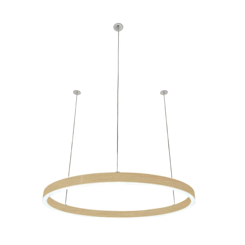 Pendelleuchte Loop 24V