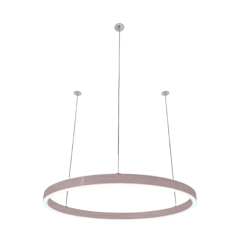 Pendelleuchte Loop 24V