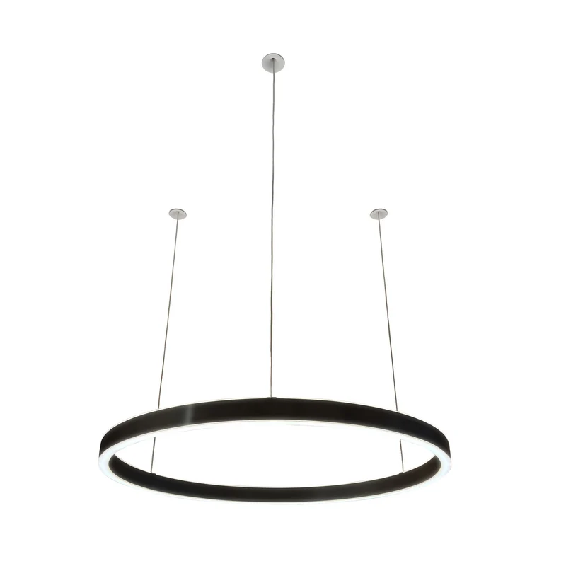 Pendelleuchte Loop 24V