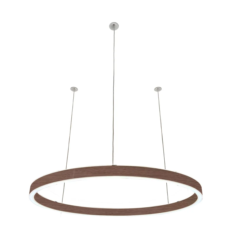 Pendelleuchte Loop 24V