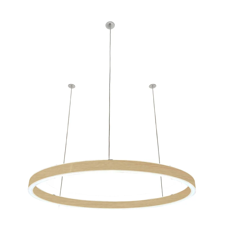 Pendelleuchte Loop 24V