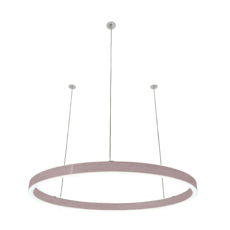 Pendelleuchte Loop 24V