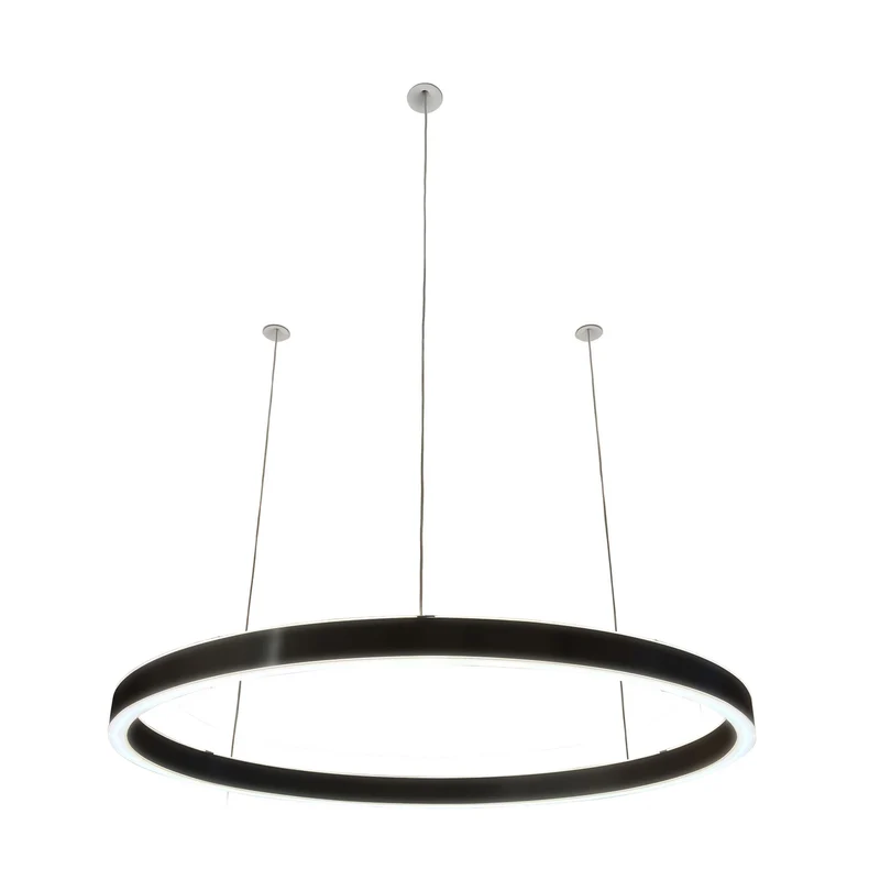 Pendelleuchte Loop 24V