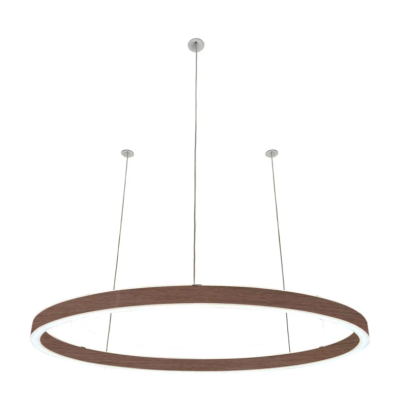 Pendelleuchte Loop 24V