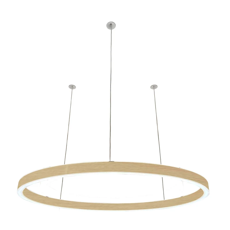 Pendelleuchte Loop 24V