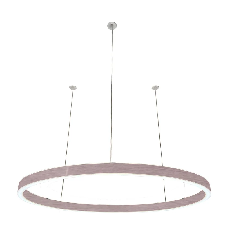 Pendelleuchte Loop 24V
