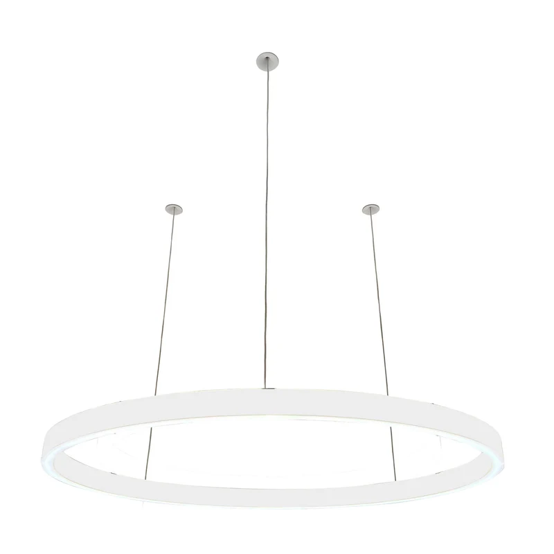 Pendelleuchte Loop 24V