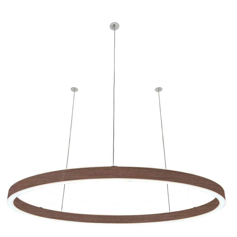 Pendelleuchte Loop 24V