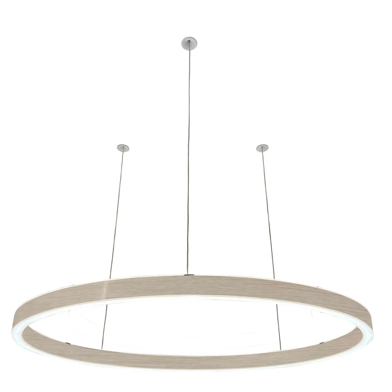 Pendelleuchte Loop 24V