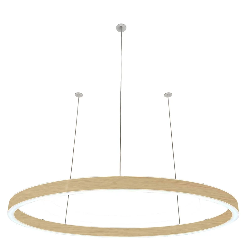Pendelleuchte Loop 24V