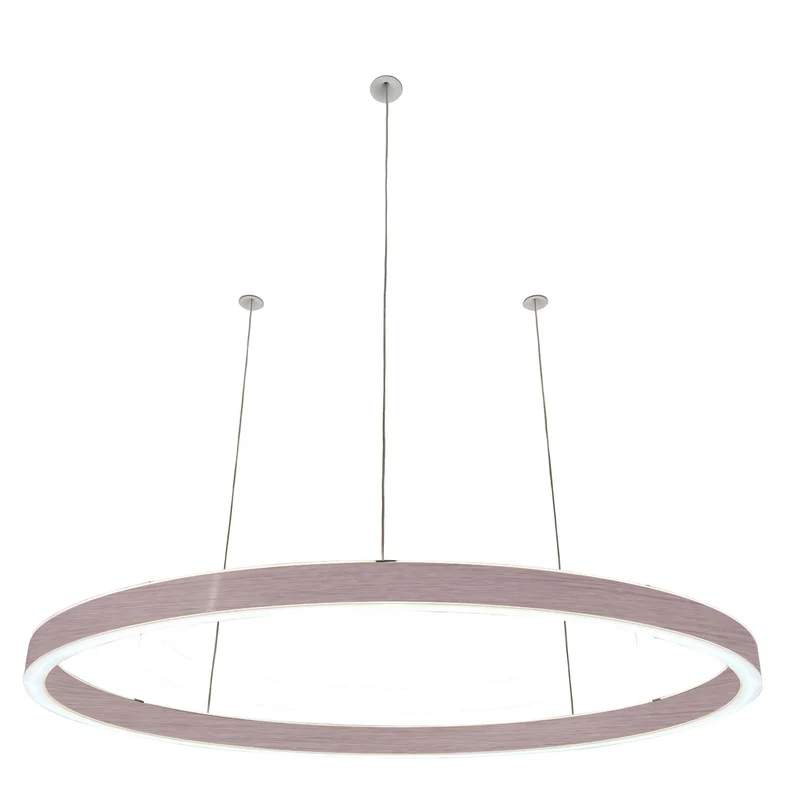 Pendelleuchte Loop 24V